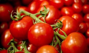 pomodoro