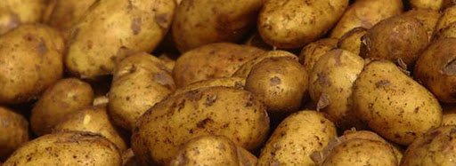 patata